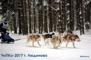 Чемпионат и Первенство Калужской области 8 января 2017