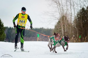 18 февраля 2017 года Спринт-гонка на собачьих упряжках "Зов Предков 2017"