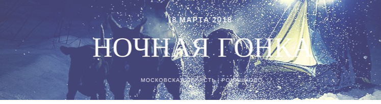 8-9 марта 2018 Ночная гонка в Ромашково